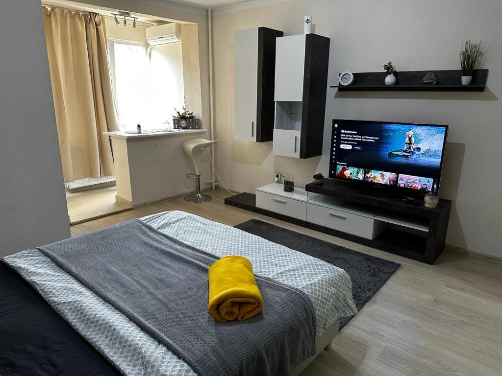 Reeas Apartament 티미쇼아라 외부 사진