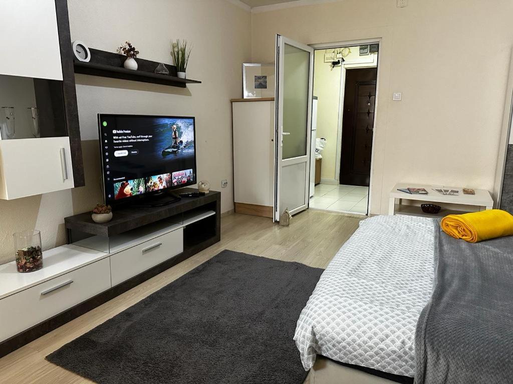 Reeas Apartament 티미쇼아라 외부 사진
