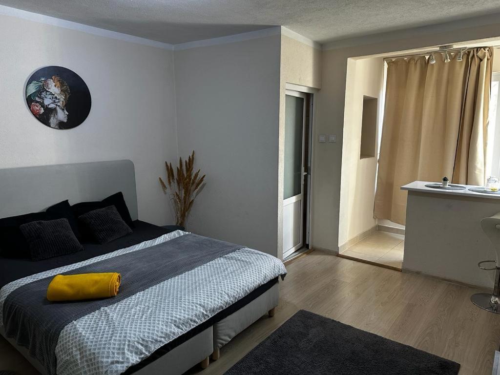 Reeas Apartament 티미쇼아라 외부 사진