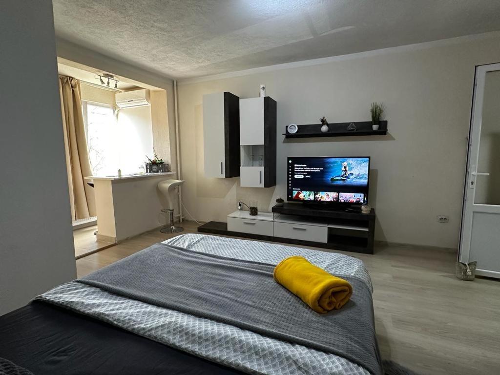 Reeas Apartament 티미쇼아라 외부 사진