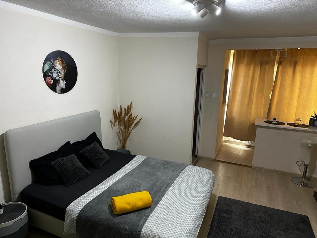 Reeas Apartament 티미쇼아라 외부 사진