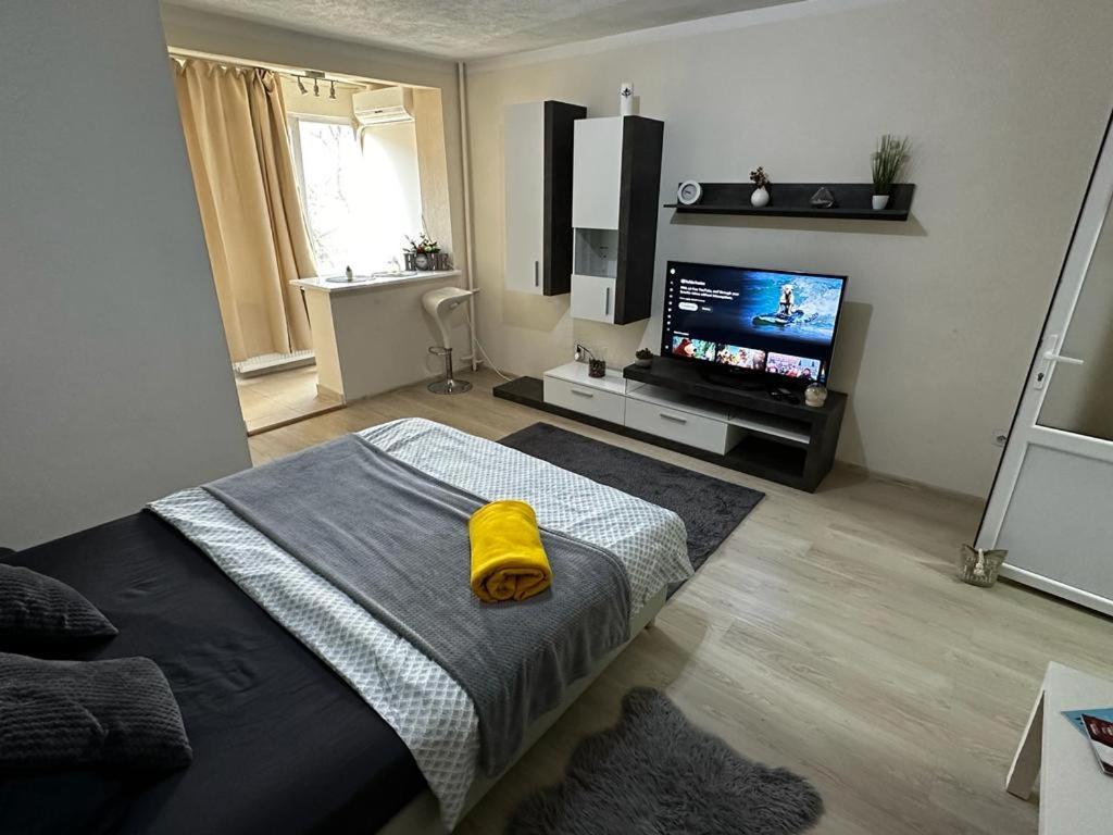 Reeas Apartament 티미쇼아라 외부 사진