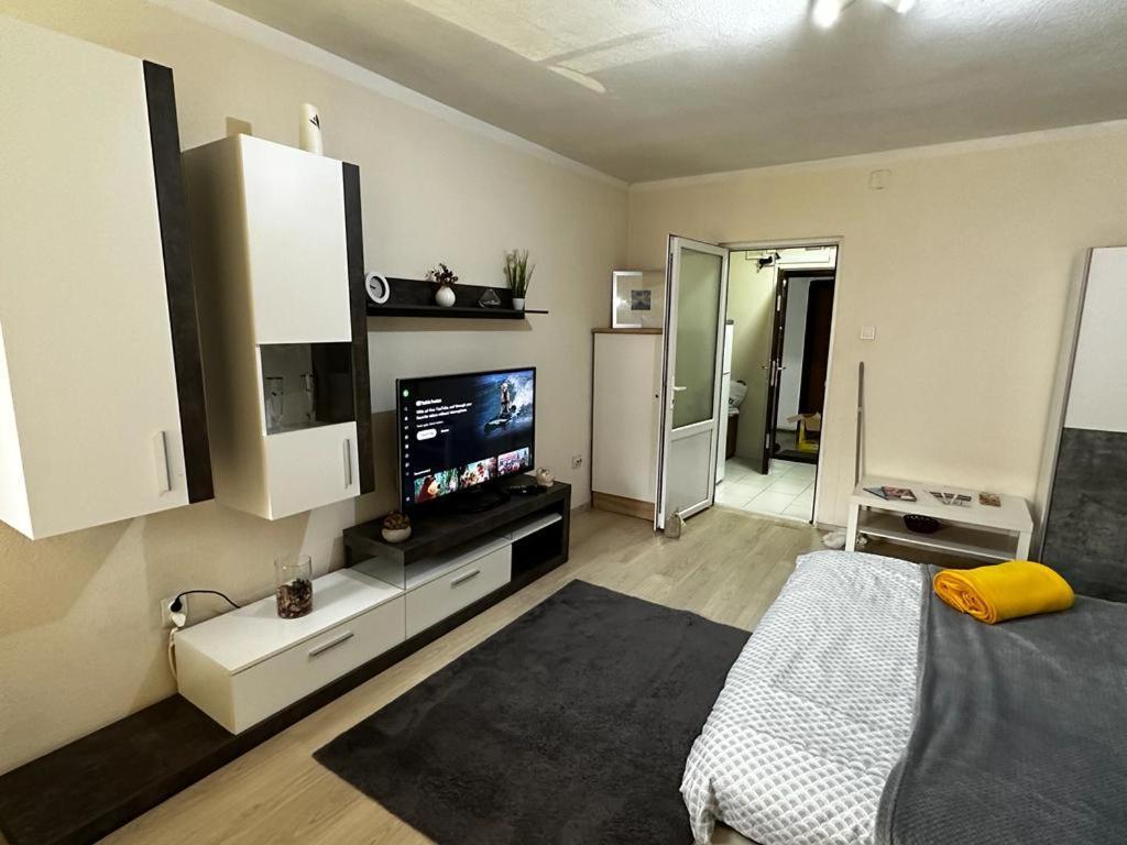 Reeas Apartament 티미쇼아라 외부 사진