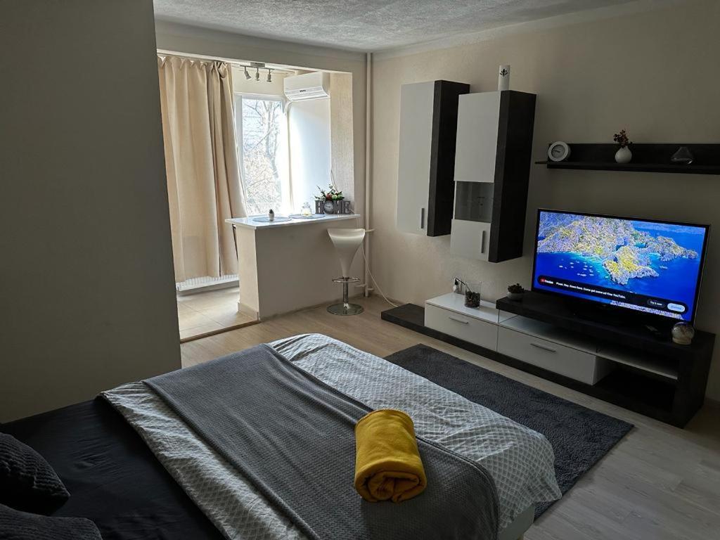 Reeas Apartament 티미쇼아라 외부 사진