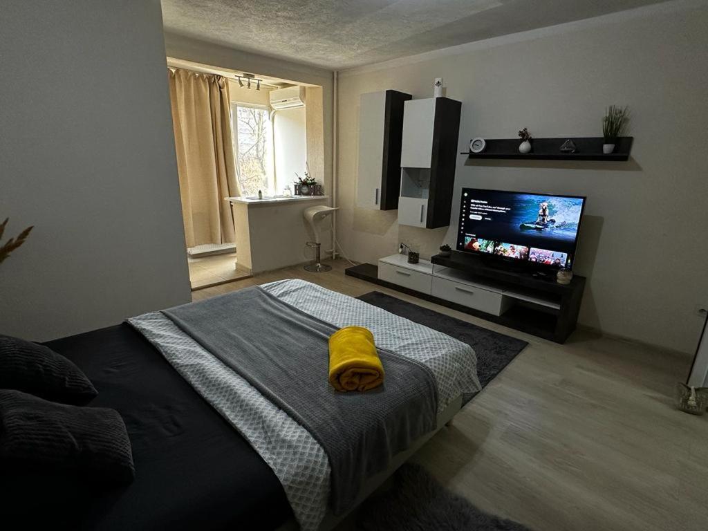 Reeas Apartament 티미쇼아라 외부 사진