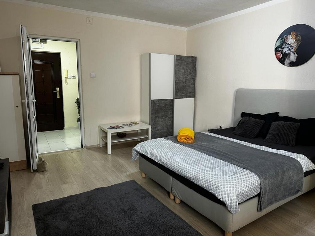 Reeas Apartament 티미쇼아라 외부 사진